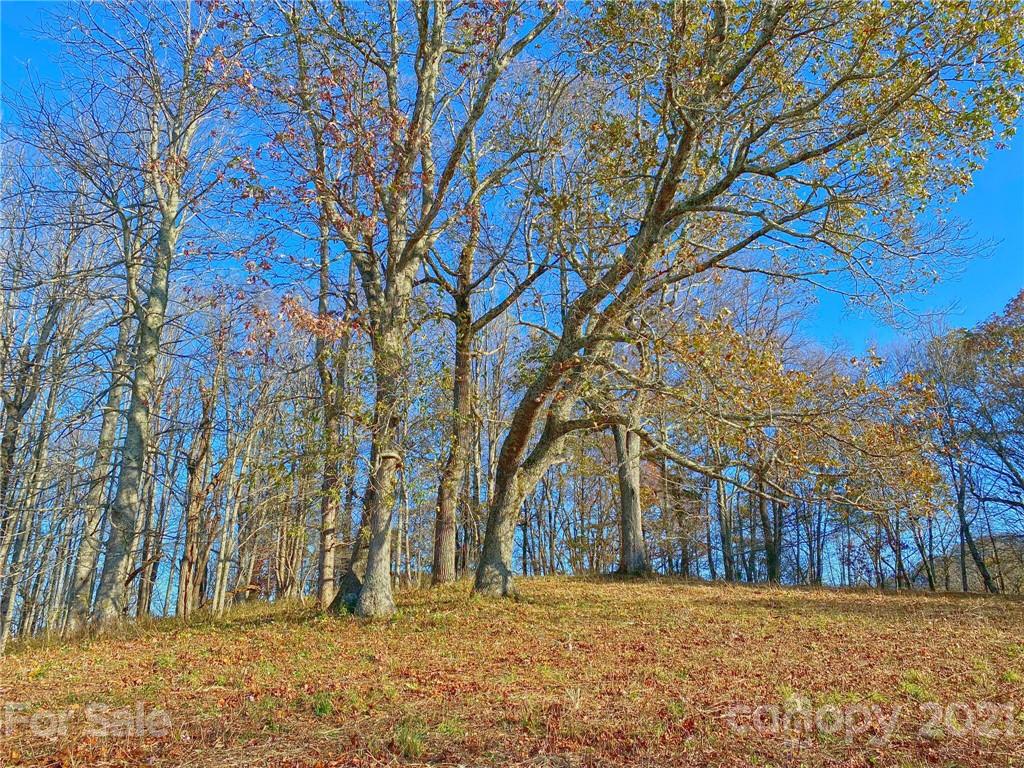 0 West Road Hot Springs, NC 28743 - Photo 38 of 47 Gallery Image 38