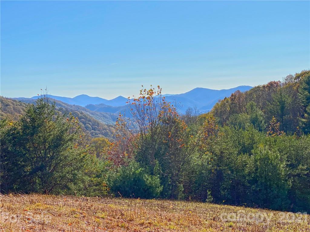 0 West Road Hot Springs, NC 28743 - Photo 4 of 47 Gallery Image 4