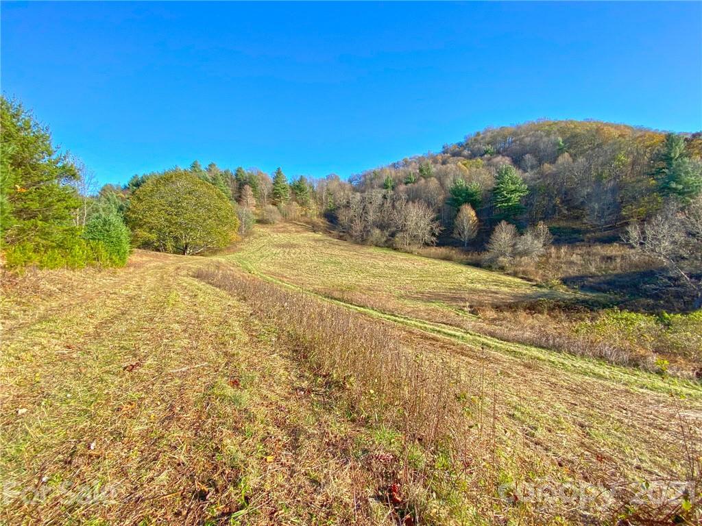0 West Road Hot Springs, NC 28743 - Photo 41 of 47 Gallery Image 41