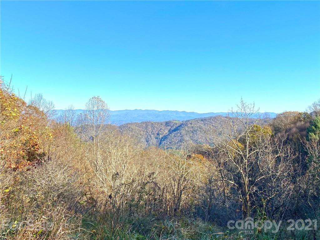 0 West Road Hot Springs, NC 28743 - Photo 43 of 47 Gallery Image 43