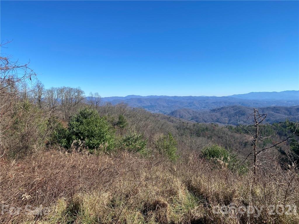 0 West Road Hot Springs, NC 28743 - Photo 45 of 47 Gallery Image 45