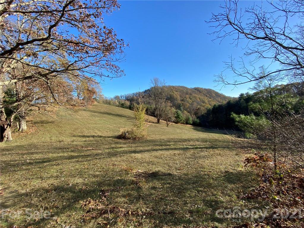 0 West Road Hot Springs, NC 28743 - Photo 5 of 47 Gallery Image 5