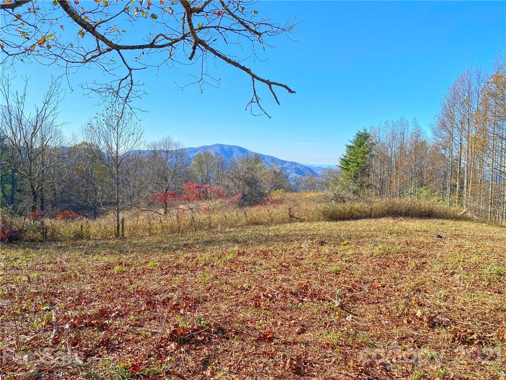 0 West Road Hot Springs, NC 28743 - Photo 6 of 47 Gallery Image 6