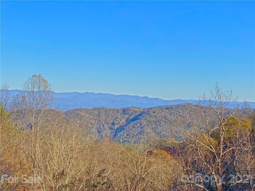 0 West Road Hot Springs, NC 28743 - Photo 8 of 47 Gallery Image 8