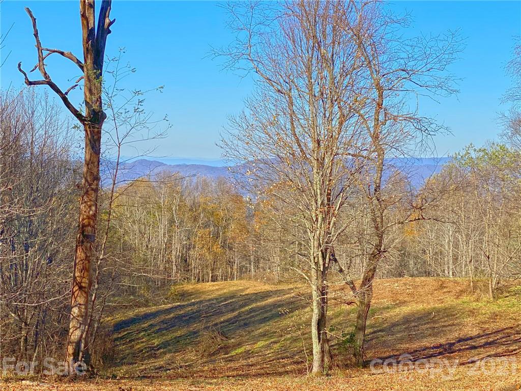 0 West Road Hot Springs, NC 28743 - Photo 9 of 47 Gallery Image 9