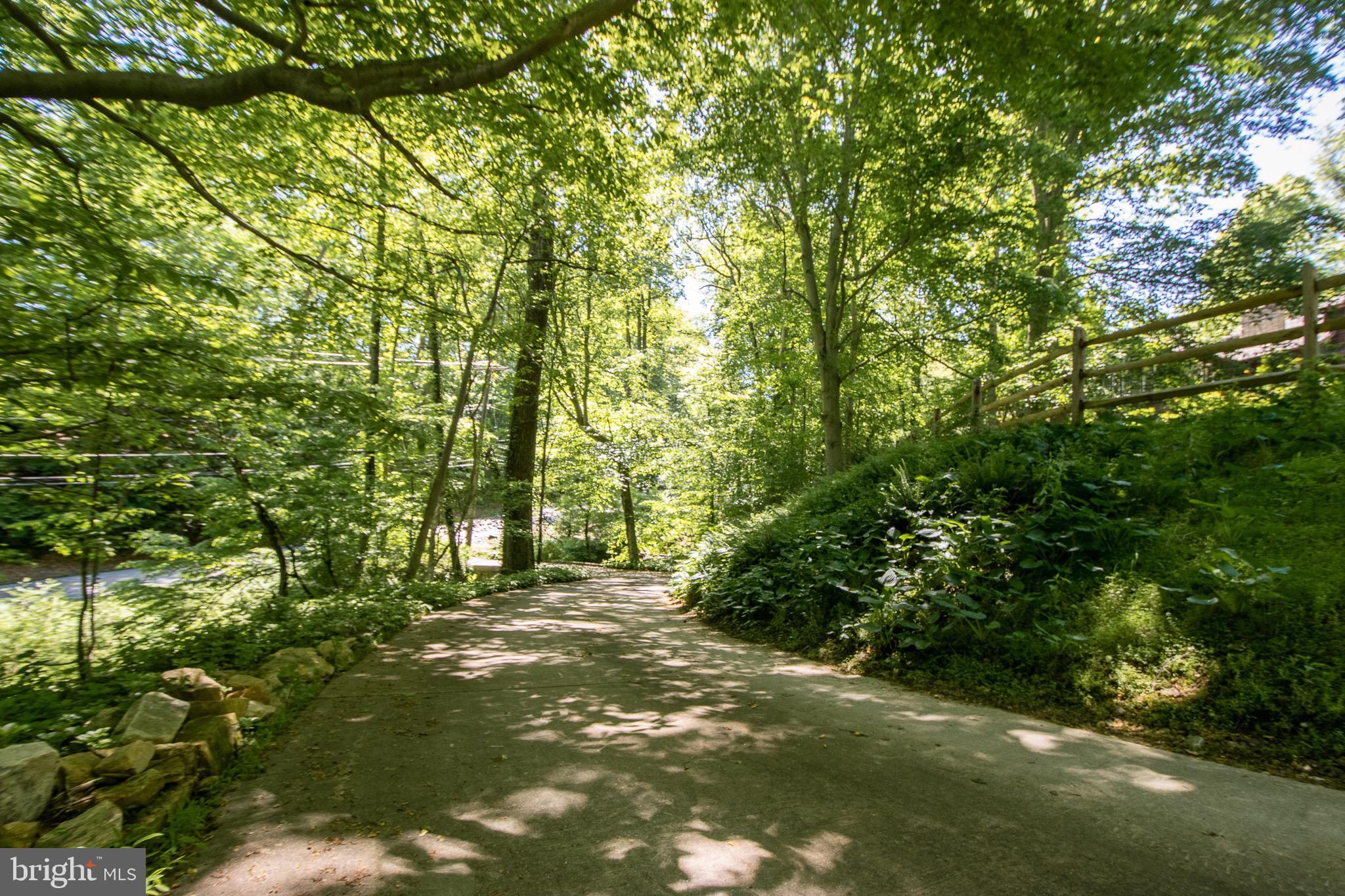 2423 Cub Hill Road Baltimore, MD 21234 - Photo 26 of 26 Driveway