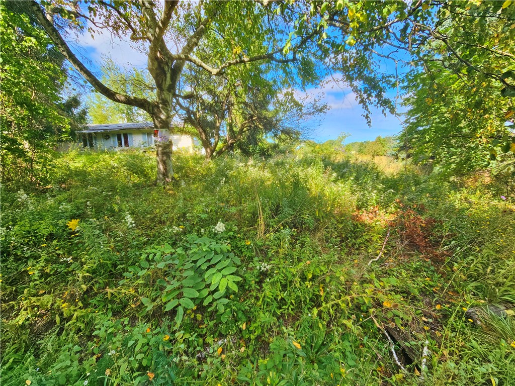 8237 Ford Road Pulteney, NY 14418 - Photo 42 of 48 Gallery Image 42