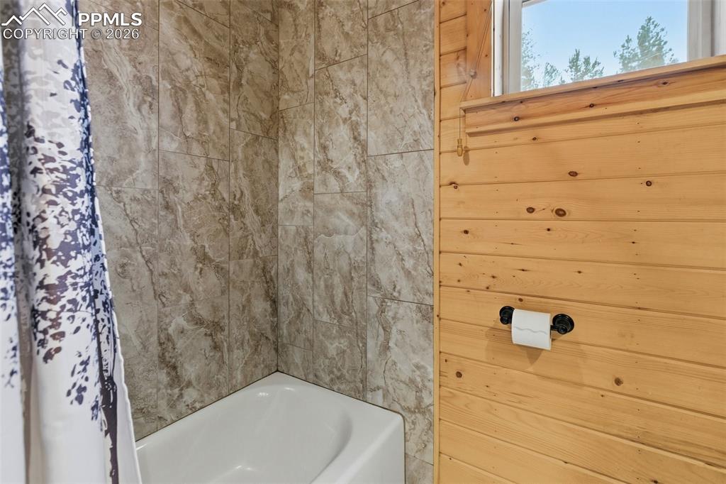 325 Willow Road Divide, CO 80814 - Photo 26 of 49