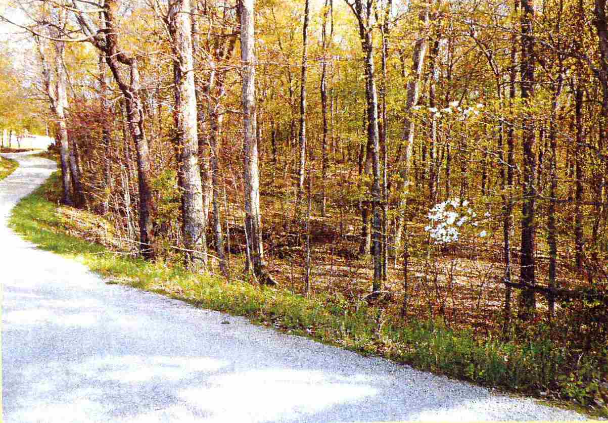 West Dewitt School Road Birdseye, IN 47513 - Photo 4 of 4