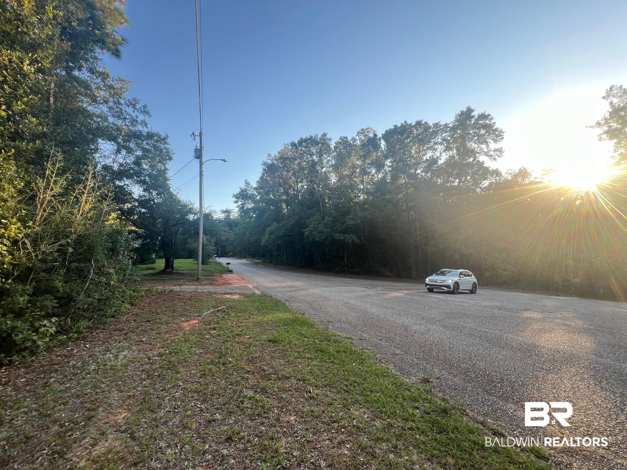 117 Melanie Loop Daphne, AL 36526 - Photo 4 of 6 View of street