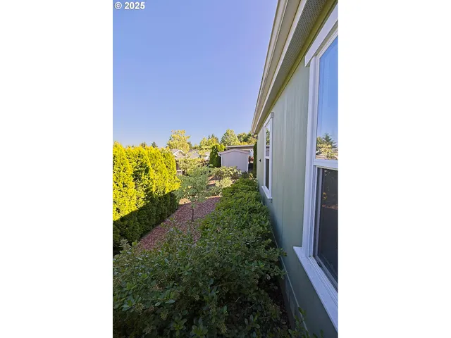 a picture of a flower in a garden