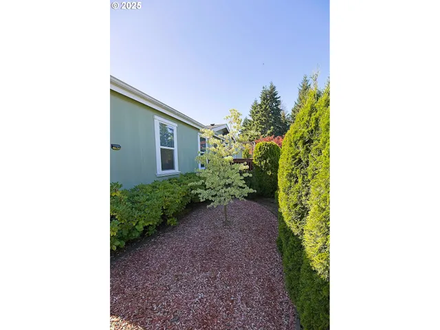 a view of a backyard with potted plants