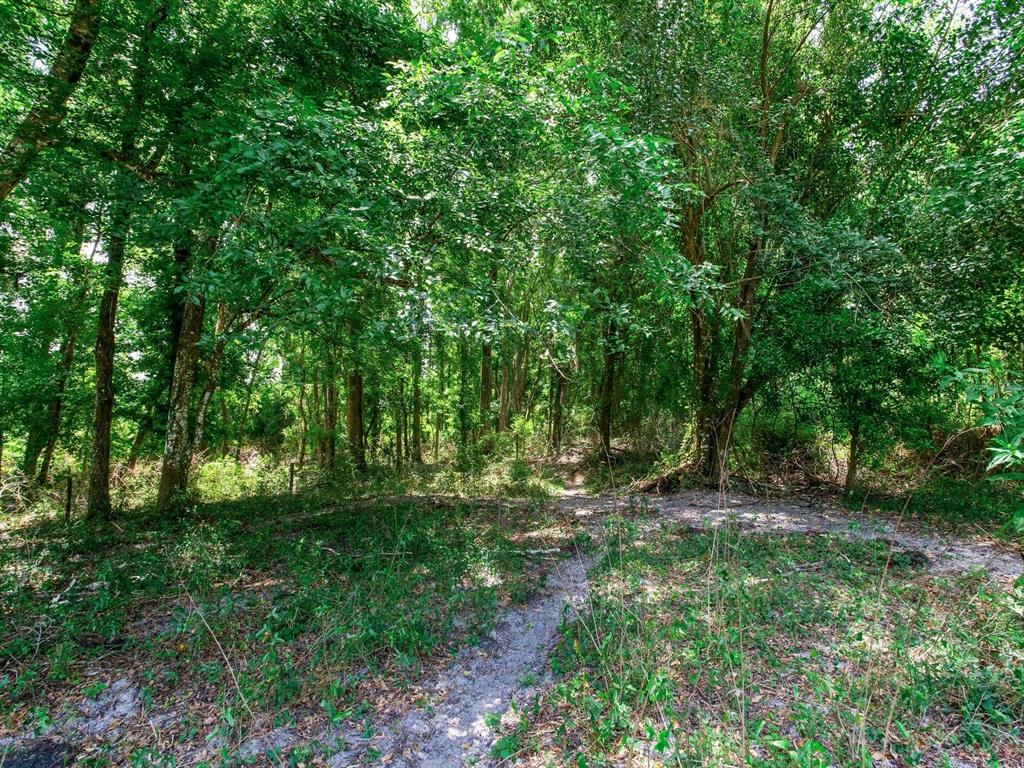 Spring Lake Highway Brooksville, FL 34602 - Photo 22 of 49 a big yard with lots of green space and deers