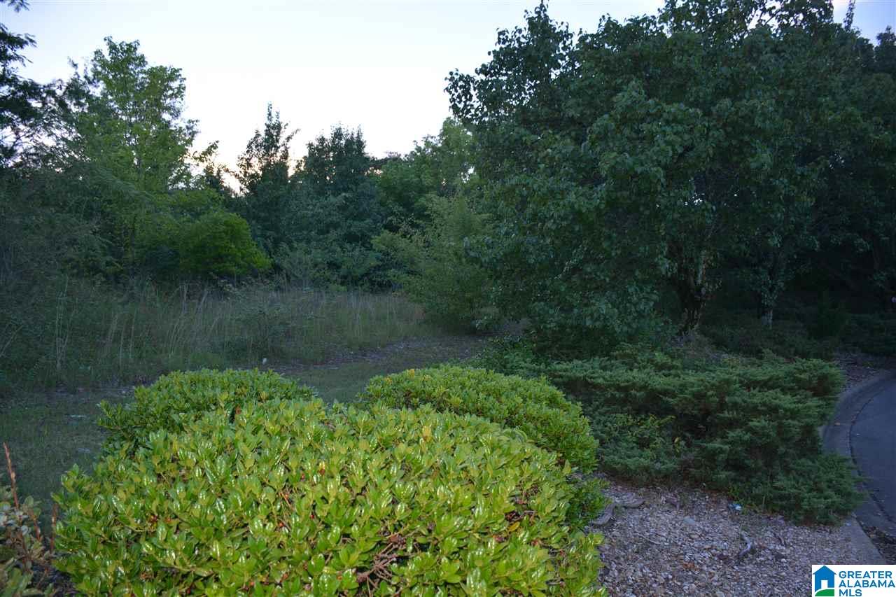 2143 Clearbrook Road, Unit LOT 7 Birmingham, AL 35226 - Photo 5 of 6