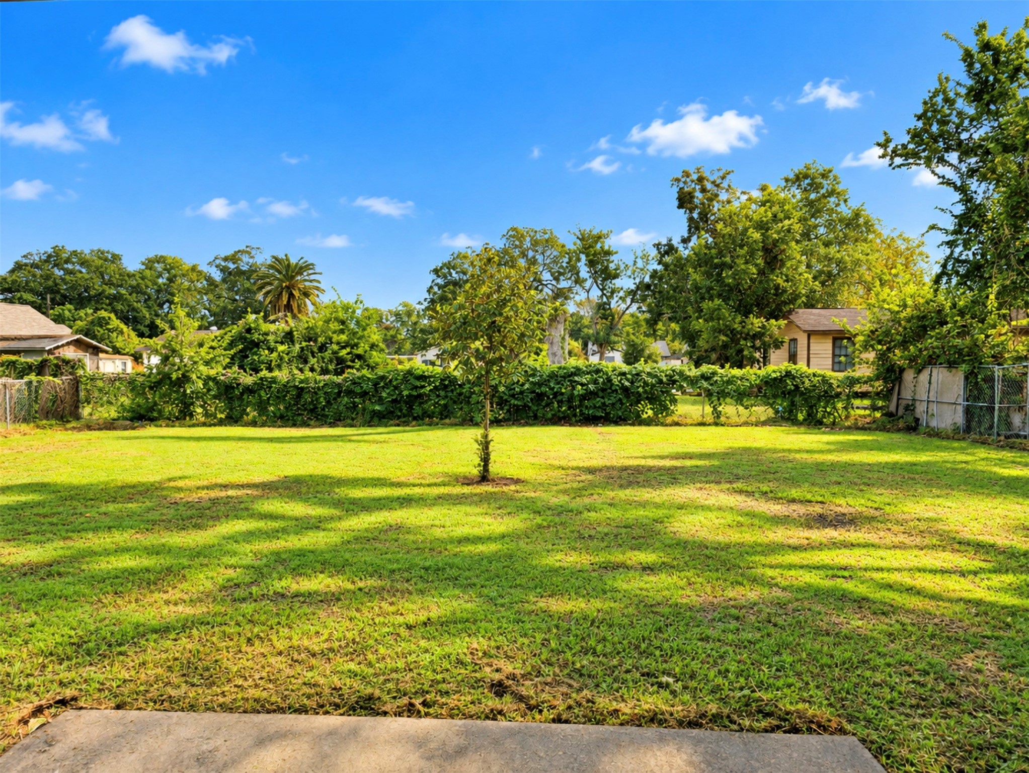 1169 East Kyle Road Clute, TX 77531 - Photo 4 of 26 Backyard