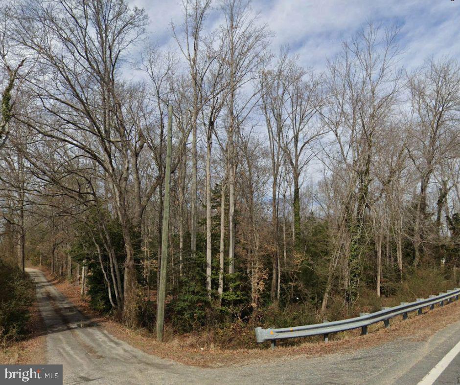 0 Brooks Road Bowling Green, VA 22427 - Photo 14 of 21