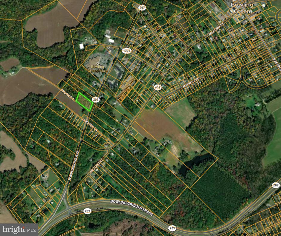 0 Brooks Road Bowling Green, VA 22427 - Photo 6 of 21