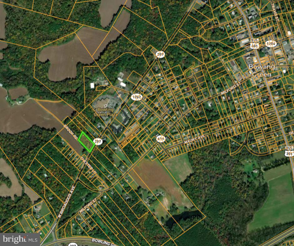 0 Brooks Road Bowling Green, VA 22427 - Photo 7 of 21