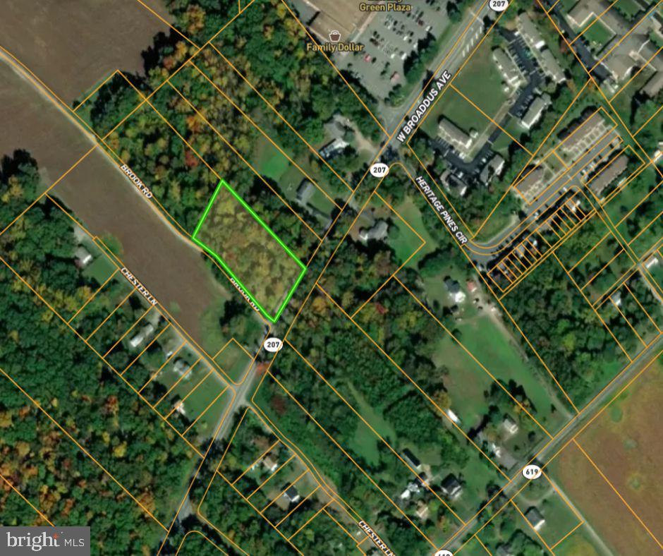 0 Brooks Road Bowling Green, VA 22427 - Photo 8 of 21