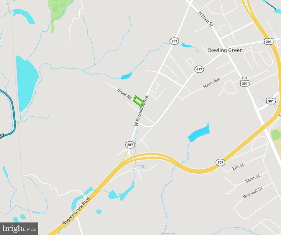 0 Brooks Road Bowling Green, VA 22427 - Photo 10 of 21