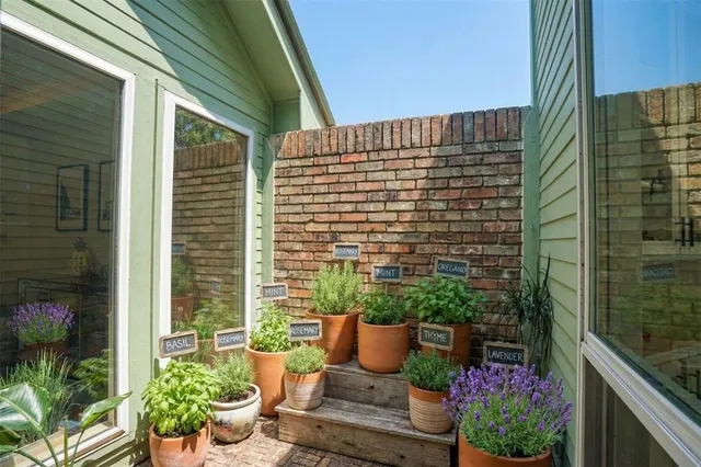 a view of a patio with plants and potted plants