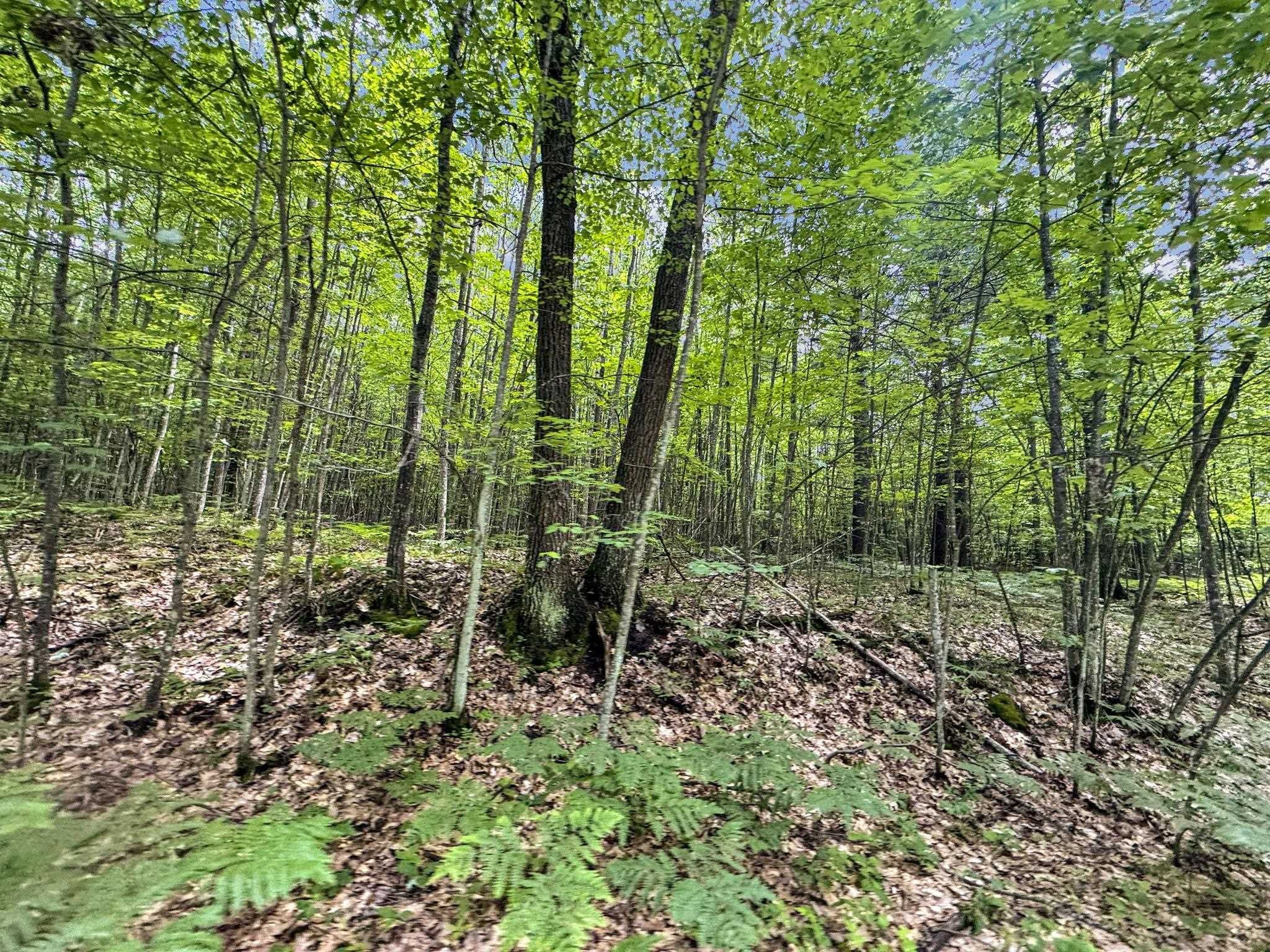 Parcel A Seeley Road Lake City, MI 49651 - Photo 13 of 16