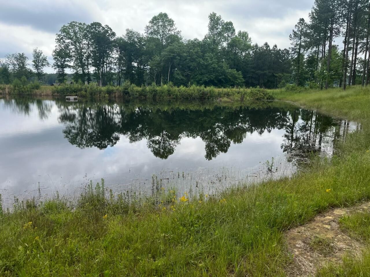 350 Crockett Loop Jasper, TN 37347 - Photo 11 of 55 a lake view with a garden