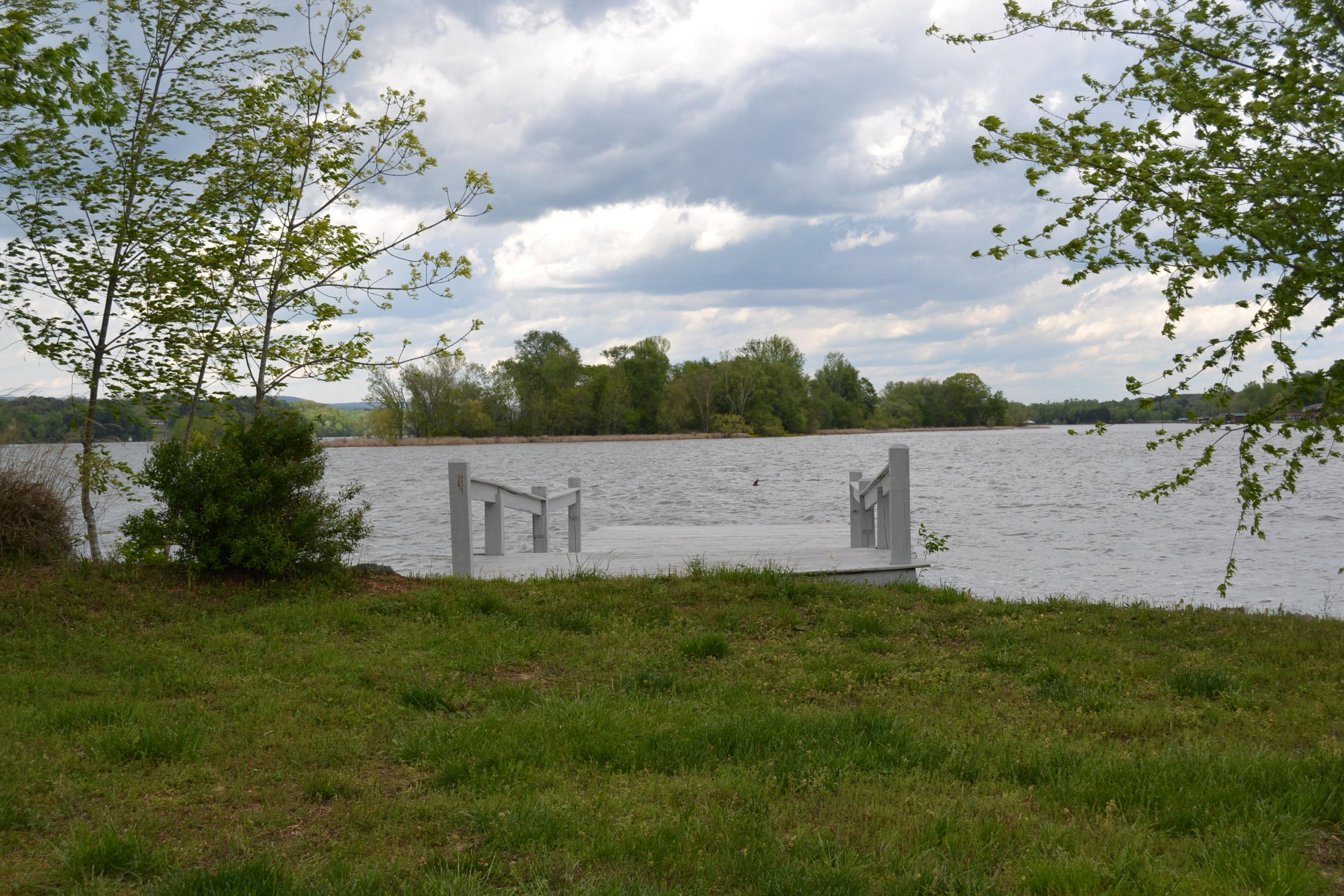 4508 Johnson Road Birchwood, TN 37308 - Photo 45 of 56 Fishing dock