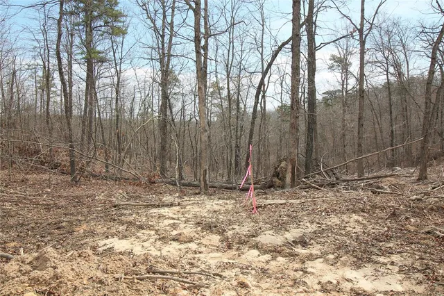 $40,960 | 0 Madison Cr, Fredericktown, MO 63645