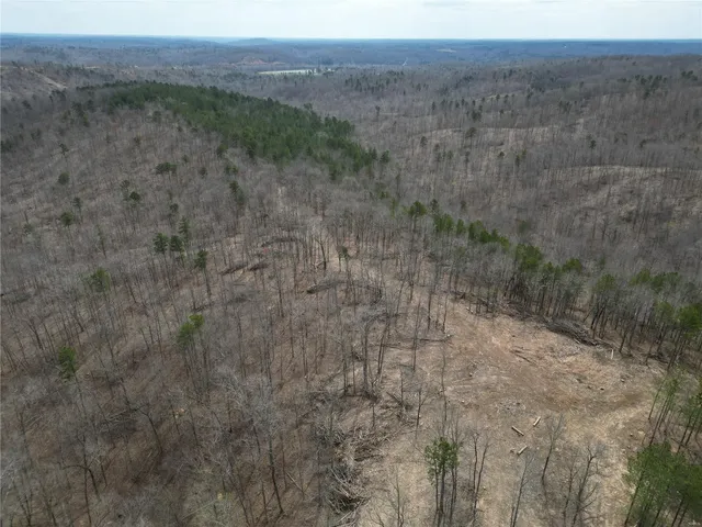 $40,960 | 0 Madison Cr, Fredericktown, MO 63645