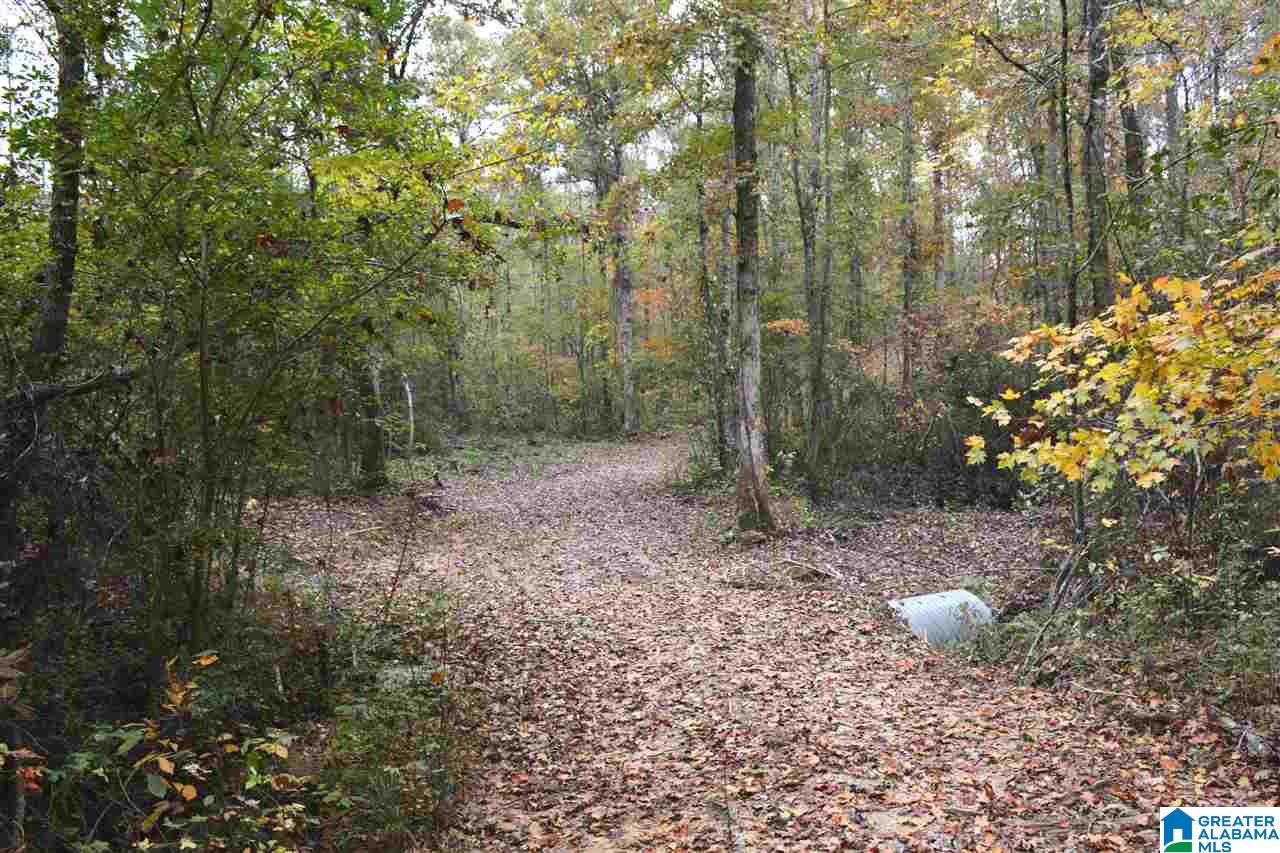 0 Jackson Loop Road, Unit 1 Ragland, AL 35131 - Photo 18 of 27