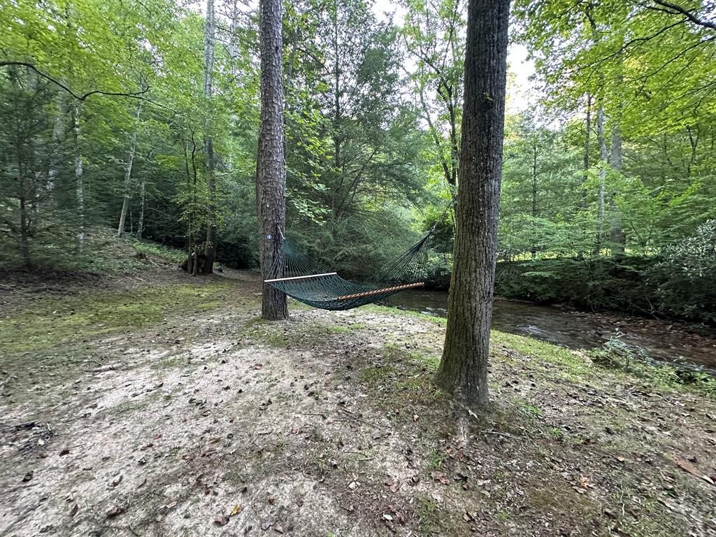 27 R Tanager Trail Ellijay, GA 30536 - Photo 60 of 60 Hammocks placed along the creek in community area