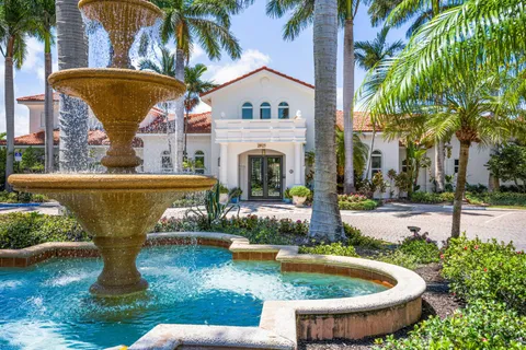 a view of a swimming pool with a garden and plants