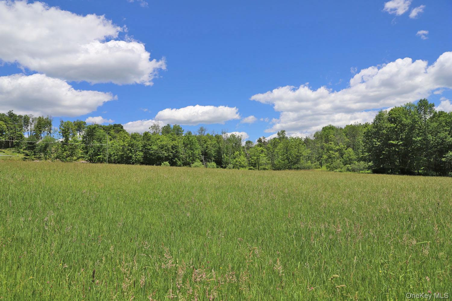 Dietz Road Callicoon Center, NY 12724 - Photo 18 of 24 Meadow to treeline
