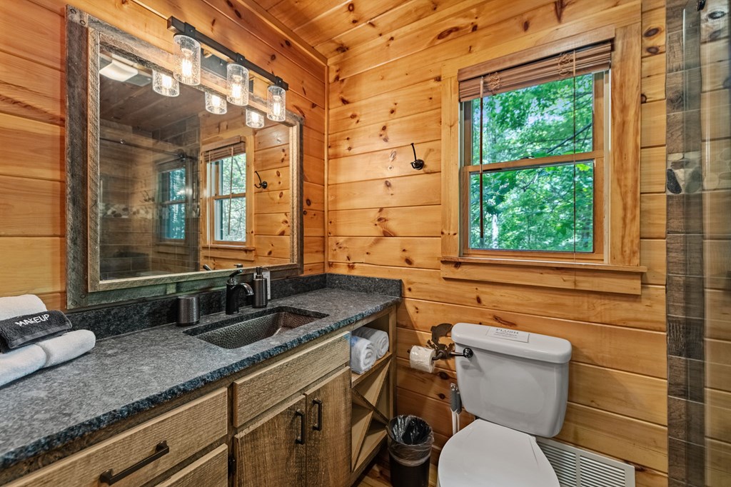 77 Old Covered Bridge Road Cherry Log, GA 30522 - Photo 31 of 96 Master bath