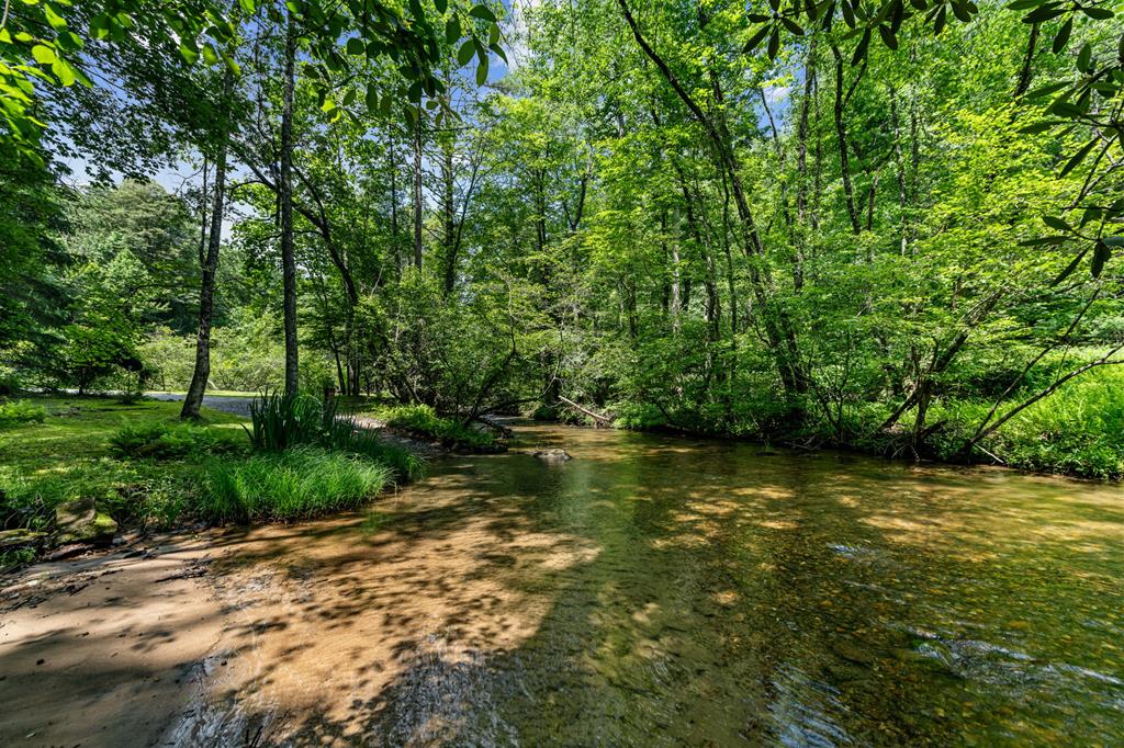 77 Old Covered Bridge Road Cherry Log, GA 30522 - Photo 5 of 96