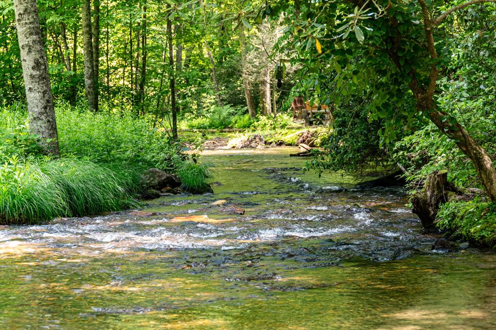 77 Old Covered Bridge Road Cherry Log, GA 30522 - Photo 61 of 96