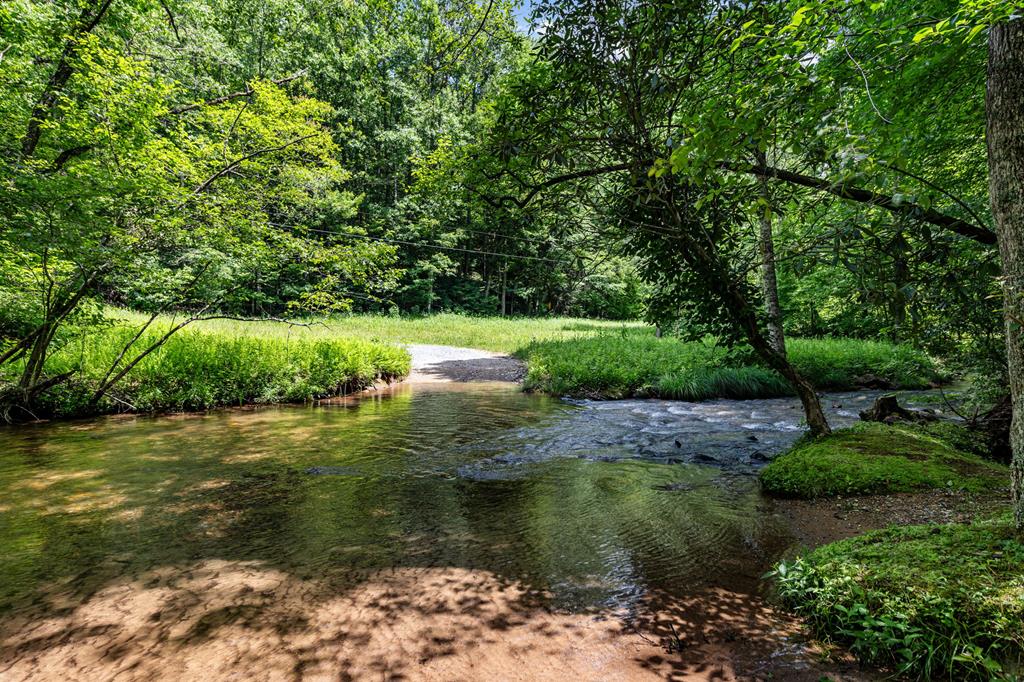 77 Old Covered Bridge Road Cherry Log, GA 30522 - Photo 76 of 96