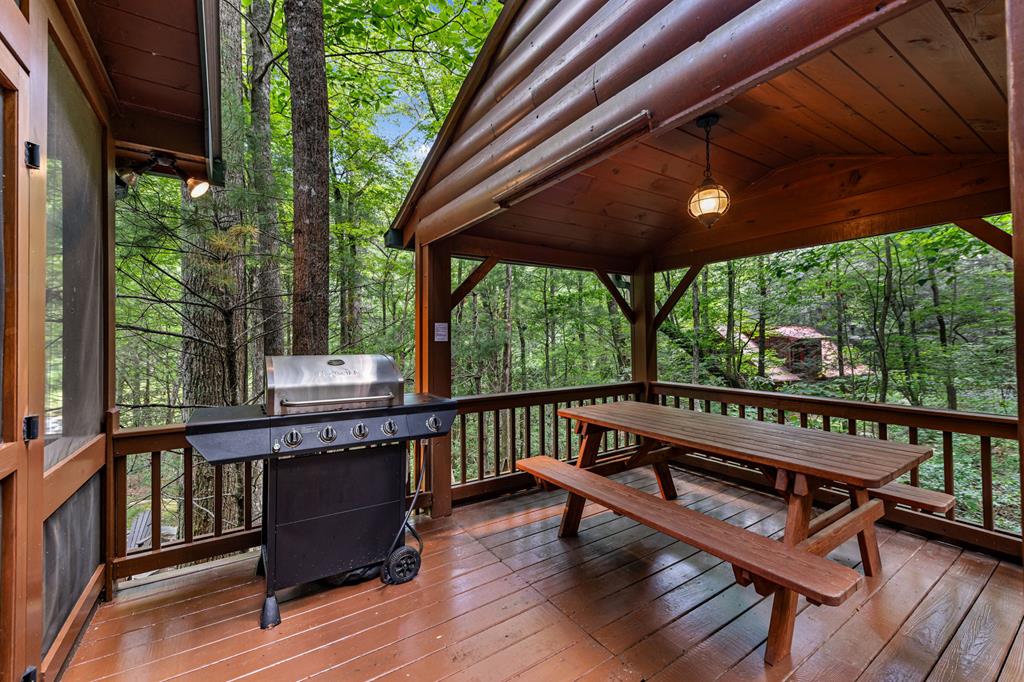 77 Old Covered Bridge Road Cherry Log, GA 30522 - Photo 80 of 96