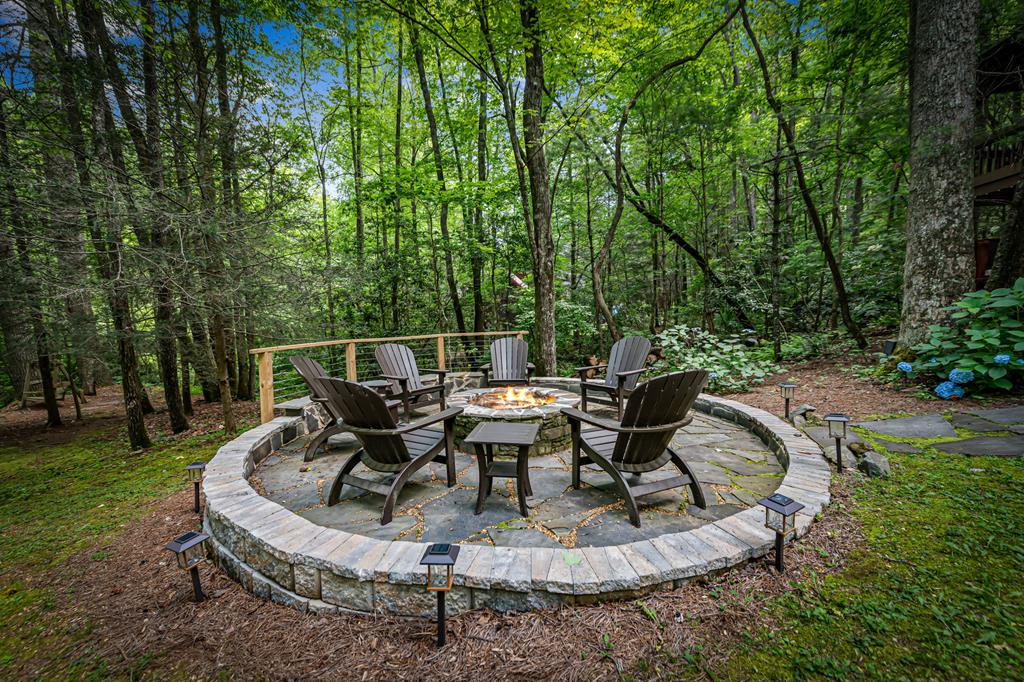 77 Old Covered Bridge Road Cherry Log, GA 30522 - Photo 8 of 96