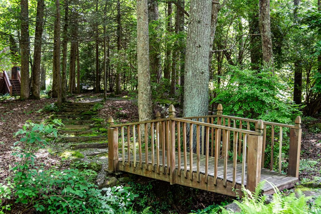 77 Old Covered Bridge Road Cherry Log, GA 30522 - Photo 93 of 96