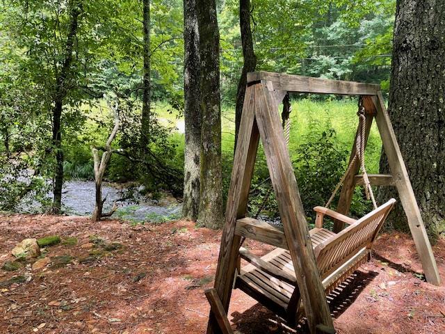 77 Old Covered Bridge Road Cherry Log, GA 30522 - Photo 94 of 96