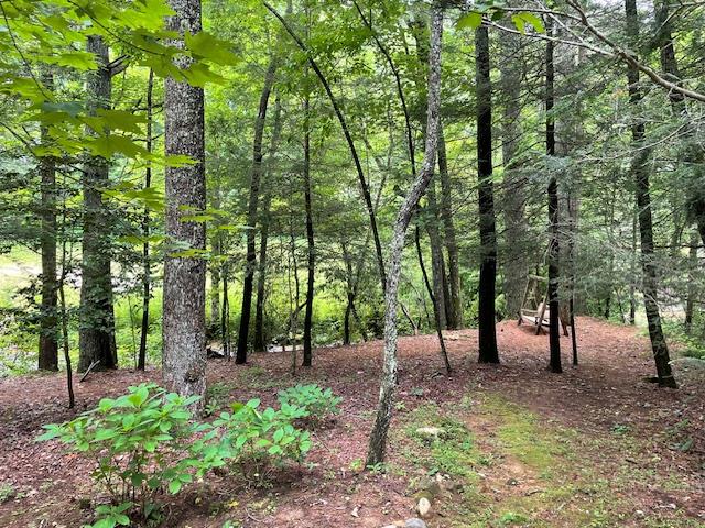 77 Old Covered Bridge Road Cherry Log, GA 30522 - Photo 95 of 96
