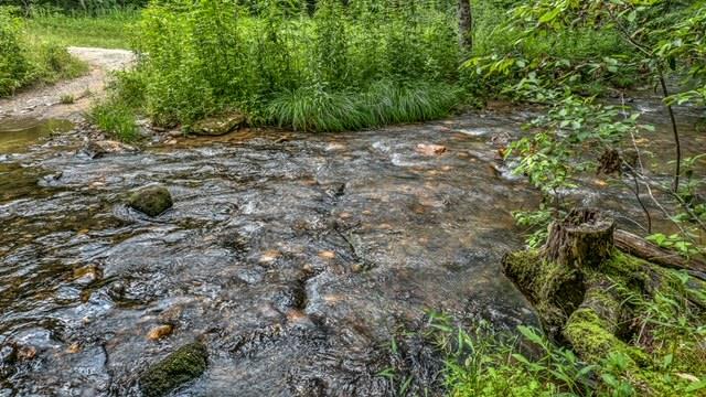 77 Old Covered Bridge Road Cherry Log, GA 30522 - Photo 96 of 96