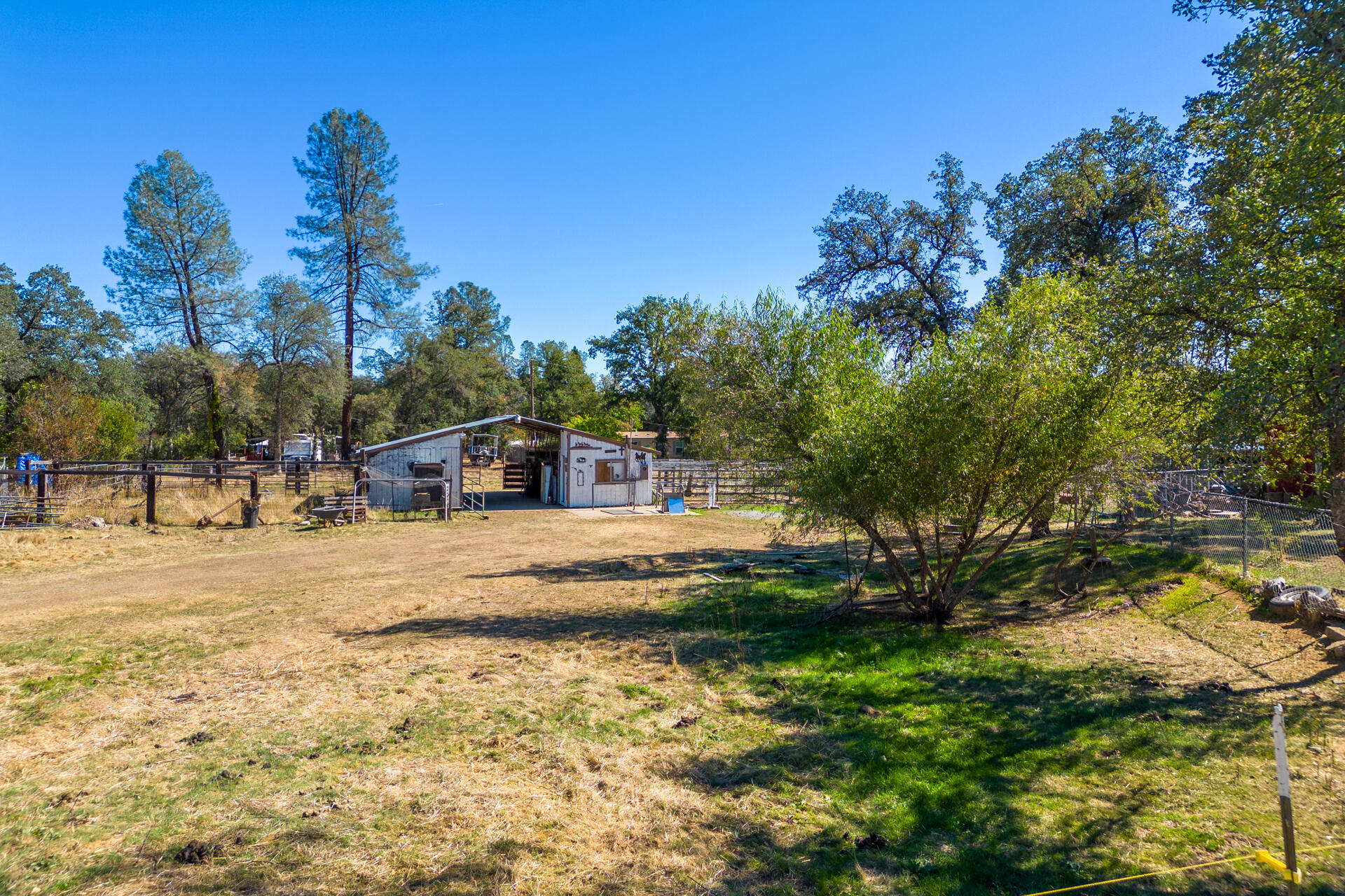 12141 Cinder Road Redding, CA 96003 - Photo 11 of 23 a view of a yard with a house in the background