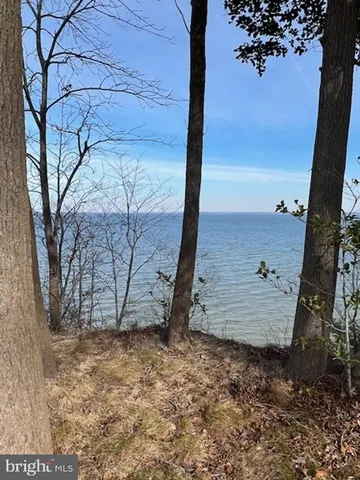 a view of a backyard of the house