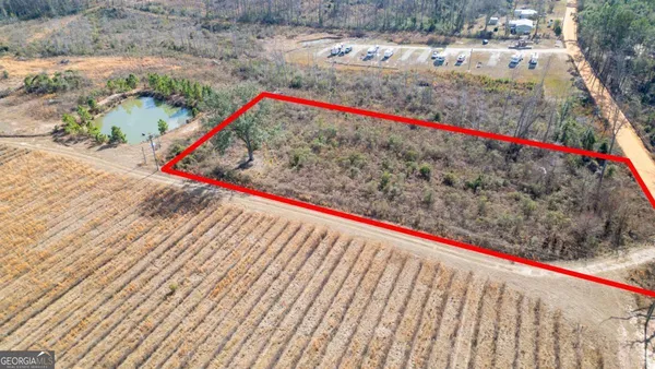 a view of a park with large trees