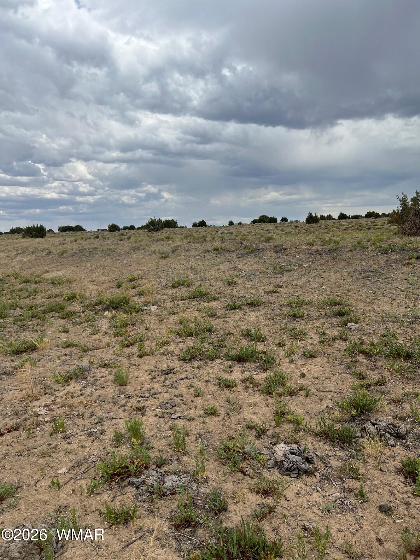 Tbd 8206 Concho, AZ 85924 - Photo 9 of 12