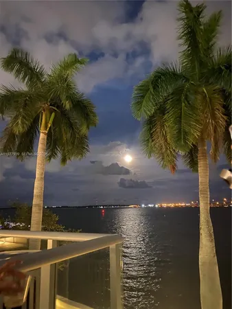 a view of a water fountain and potted plants