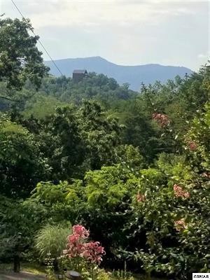 1045 Bryan View Road Sevierville, TN 37862 - Photo 6 of 21 Gallery Image 6